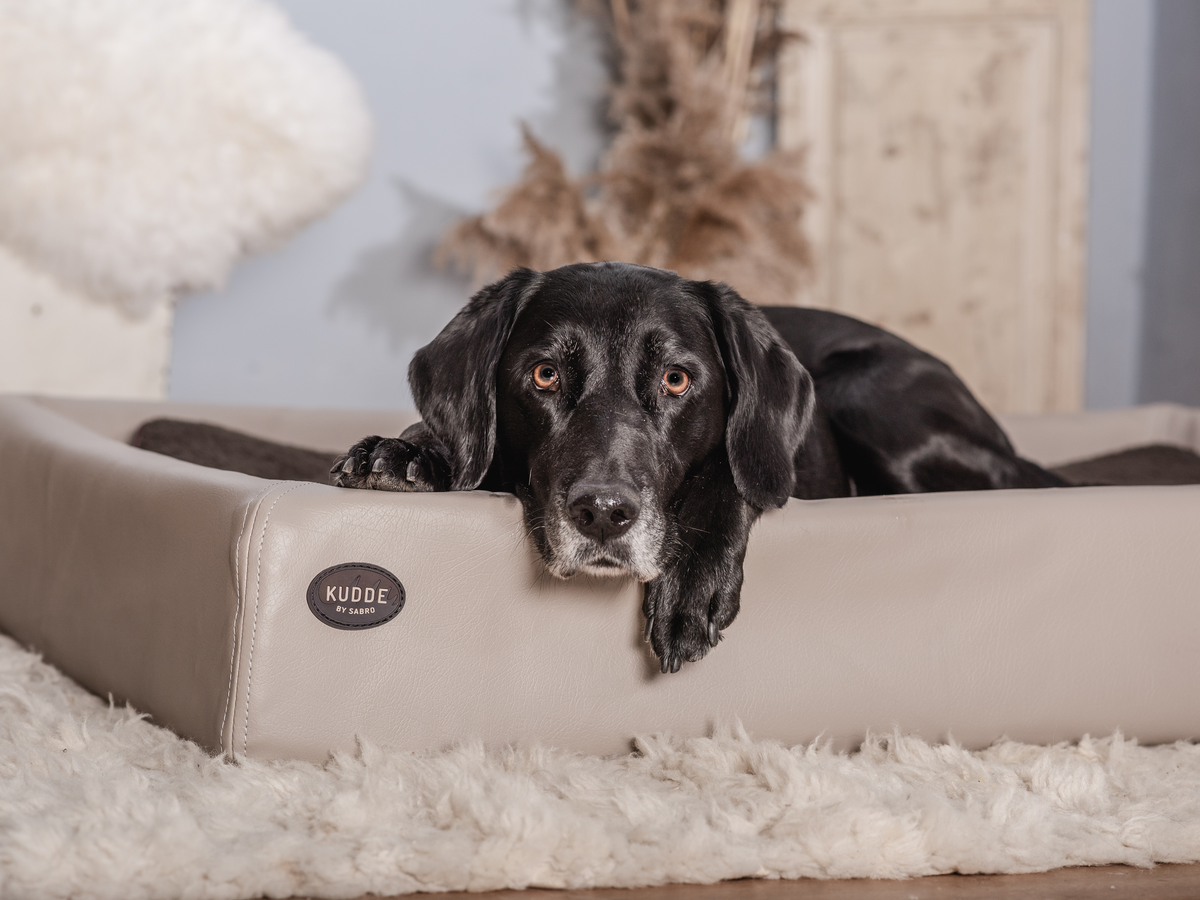 SABRO KUDDE Faux Leather Dog Bed – Wipe-Clean, Cold or Memory Foam