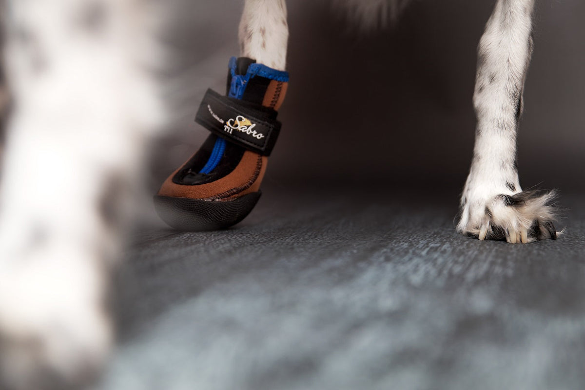 SABRO TOFFLER Dog Boots – Neoprene Dog Paw Protectors, Non-Slip, 2 pcs