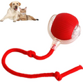 Smart Rolling Pet Ball (Pet Toys)