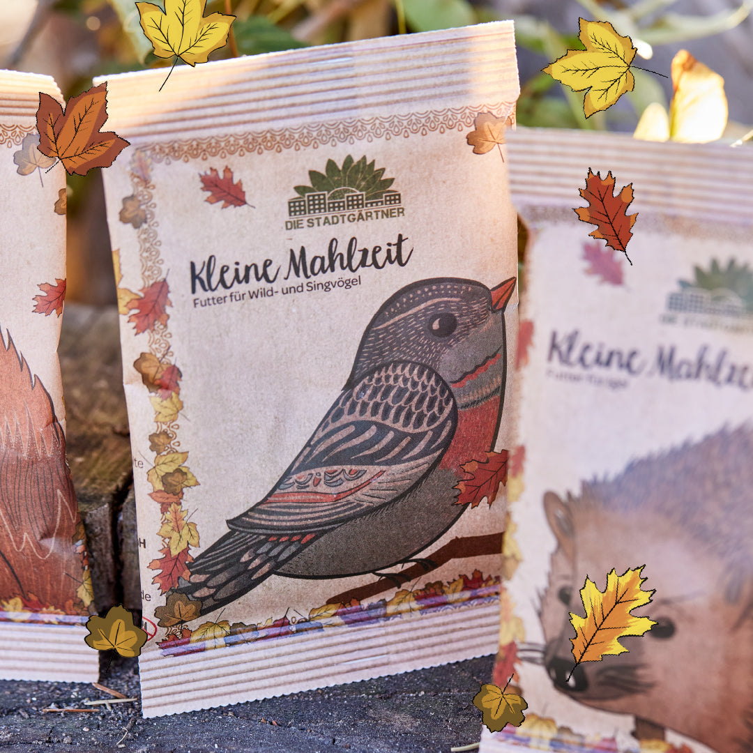 Die Stadtgärtner Bird Seed “Kleine Mahlzeit” – Wild Bird Food, 25 g