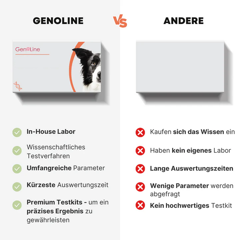 GenoLine Unverträglichkeitstest Hund – Futtermittel-Check per Speicheltest für Zuhause