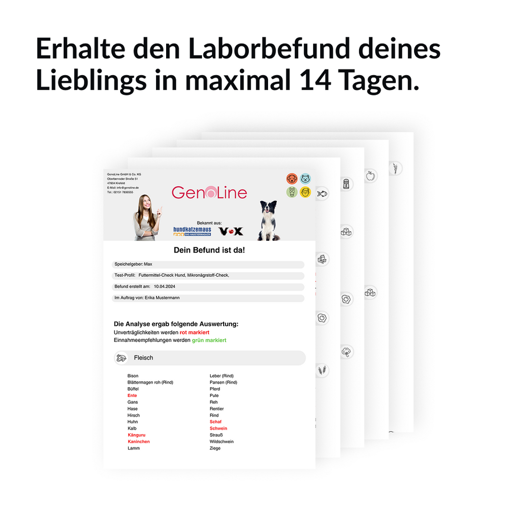 GenoLine Unverträglichkeitstest Hund – Futtermittel-Check per Speicheltest für Zuhause