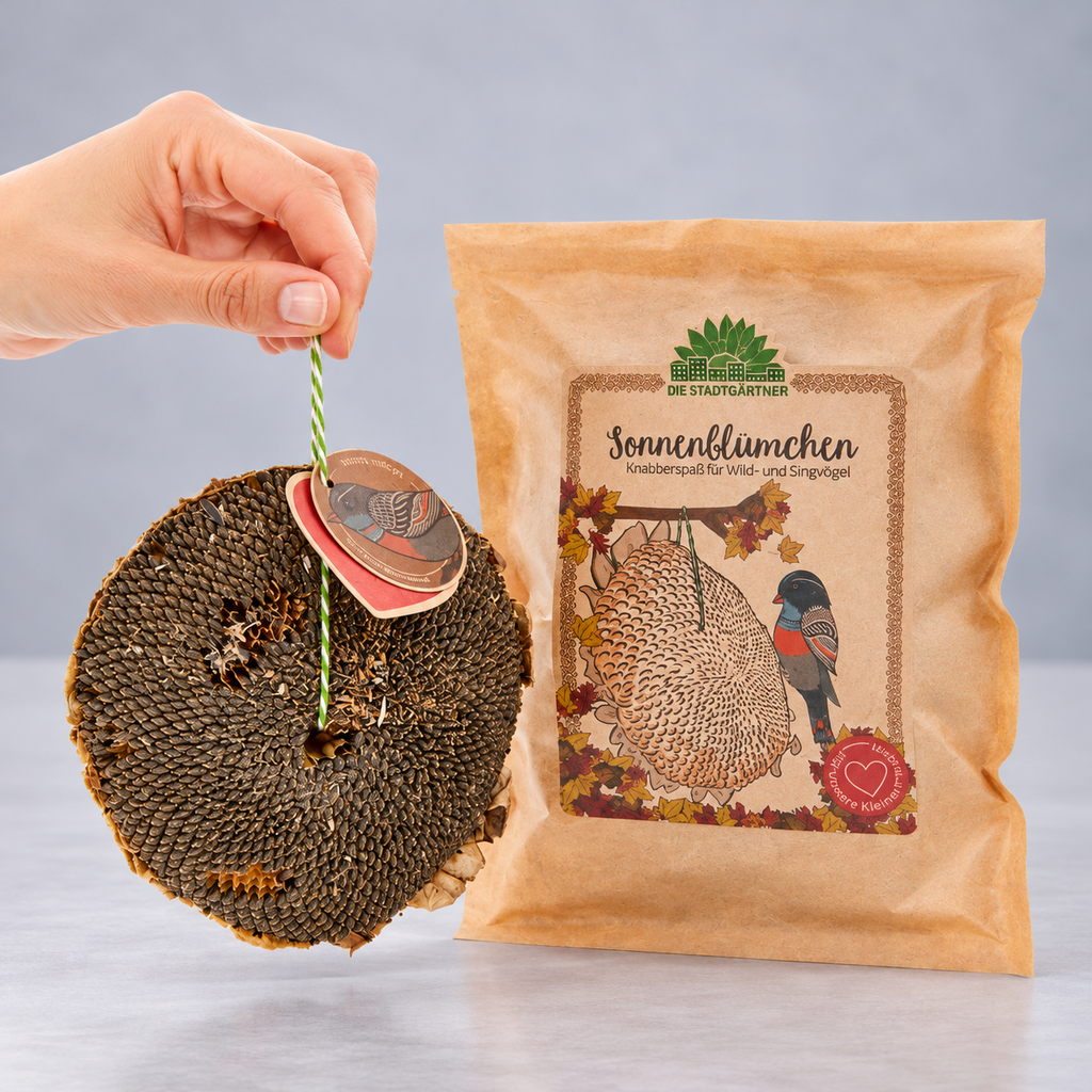 Die Stadtgärtner Dried Sunflower Head – Sunflower Seeds for Birds