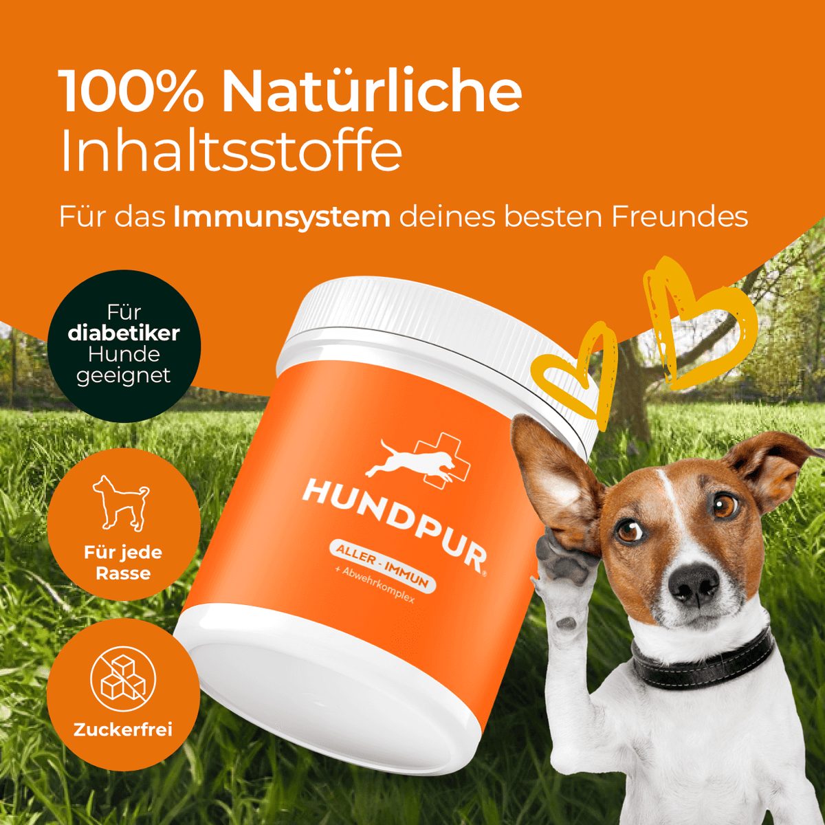 Hundpur® Aller-Immun – Immune Support for Dogs, with Defence Complex
