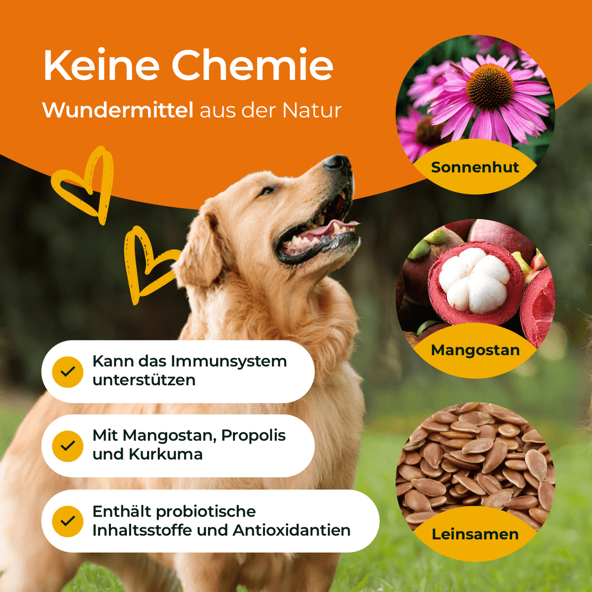 Hundpur® Aller-Immun – Immune Support for Dogs, with Defence Complex