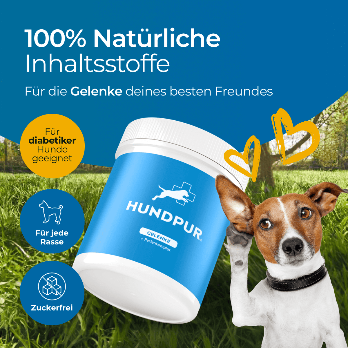 Hundpur® Green Lipped Mussel for Dogs – Glucosamine, MSM & Chondroitin