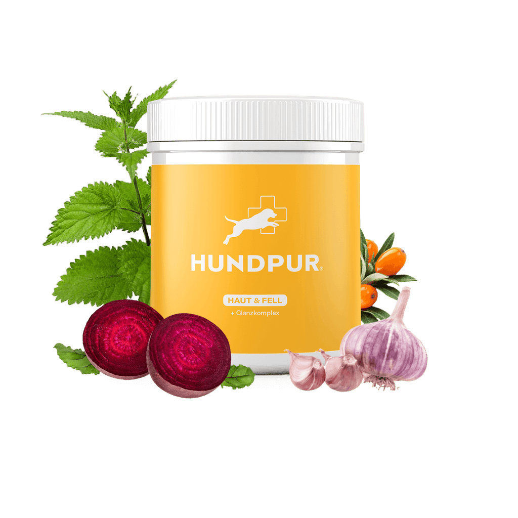 Hundpur® Skin & Coat – Dog Coat Supplement with Zinc & Biotin