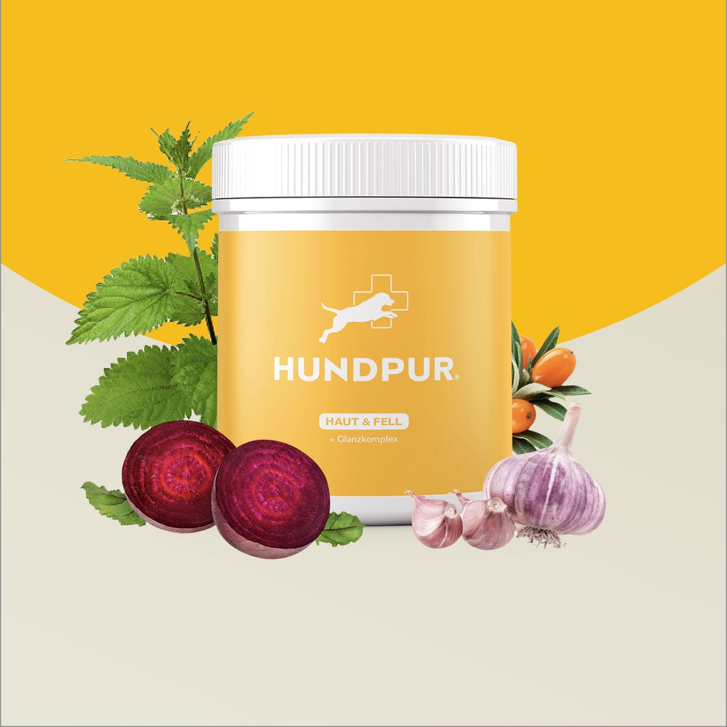 Hundpur® Skin & Coat – Dog Coat Supplement with Zinc & Biotin