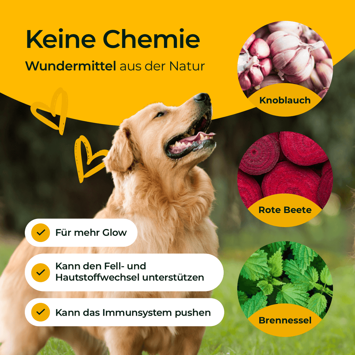 Hundpur® Skin & Coat – Dog Coat Supplement with Zinc & Biotin
