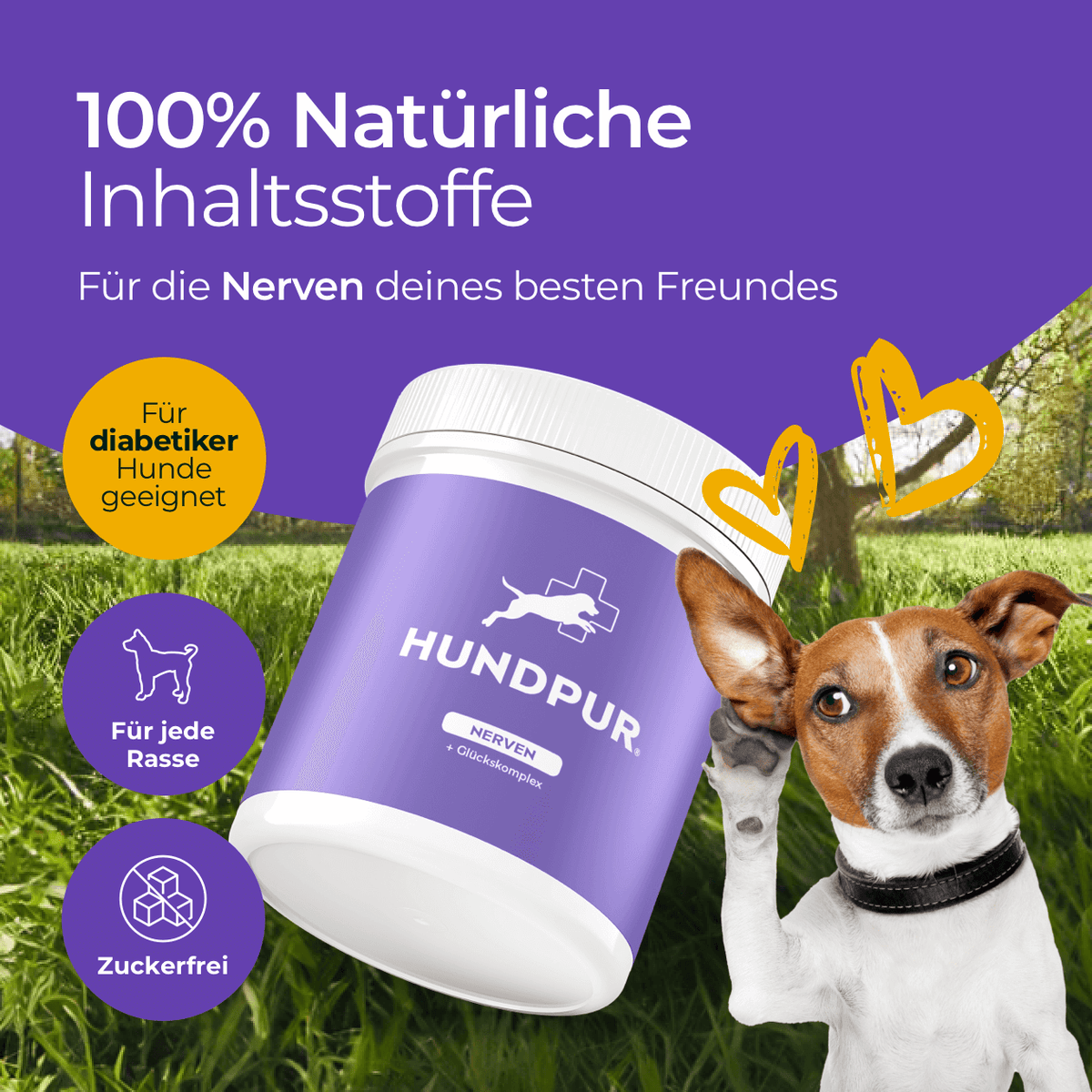 Hundpur® Nerven – Calming for Dogs under Stress, Magnesium & Herbs