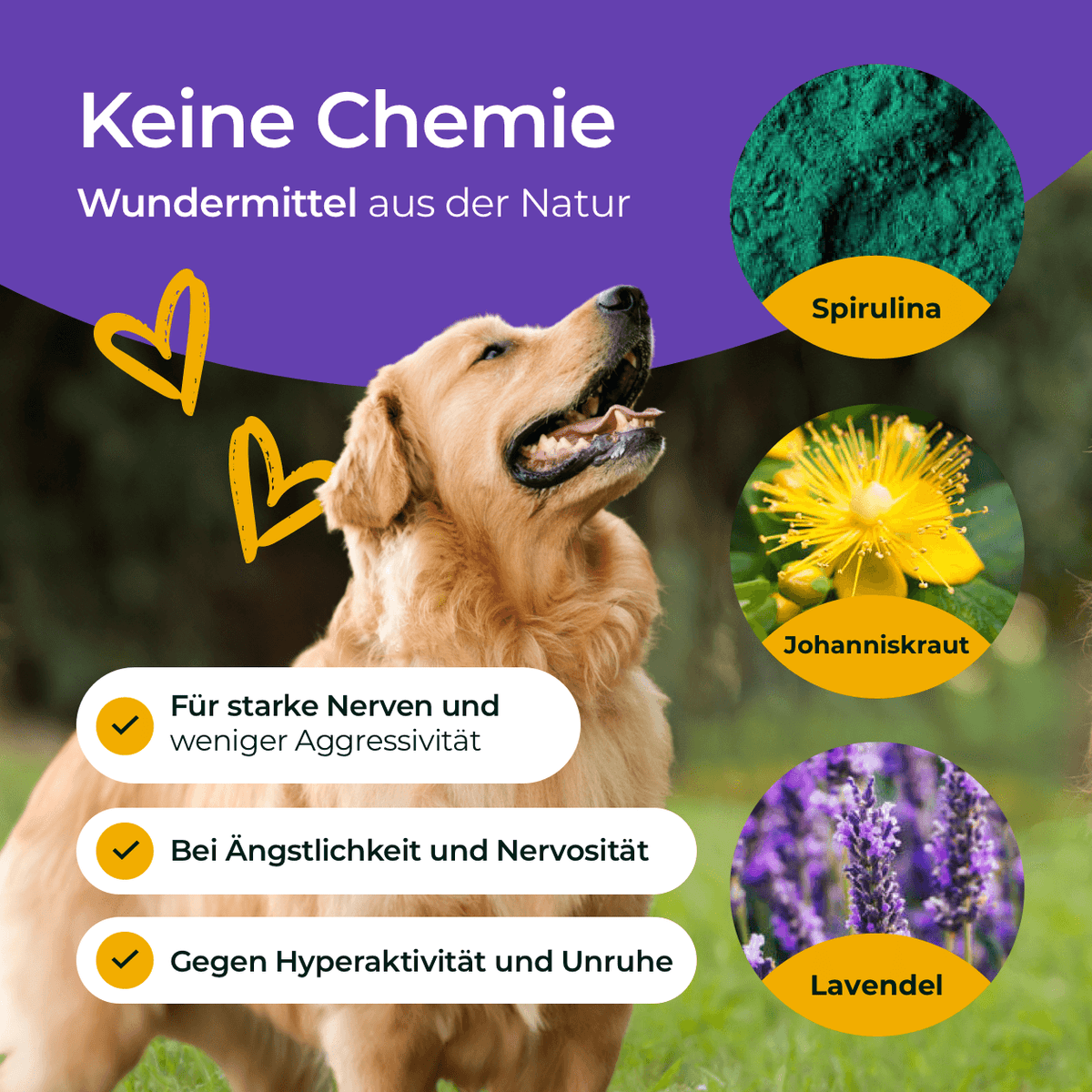 Hundpur® Nerven – Calming for Dogs under Stress, Magnesium & Herbs