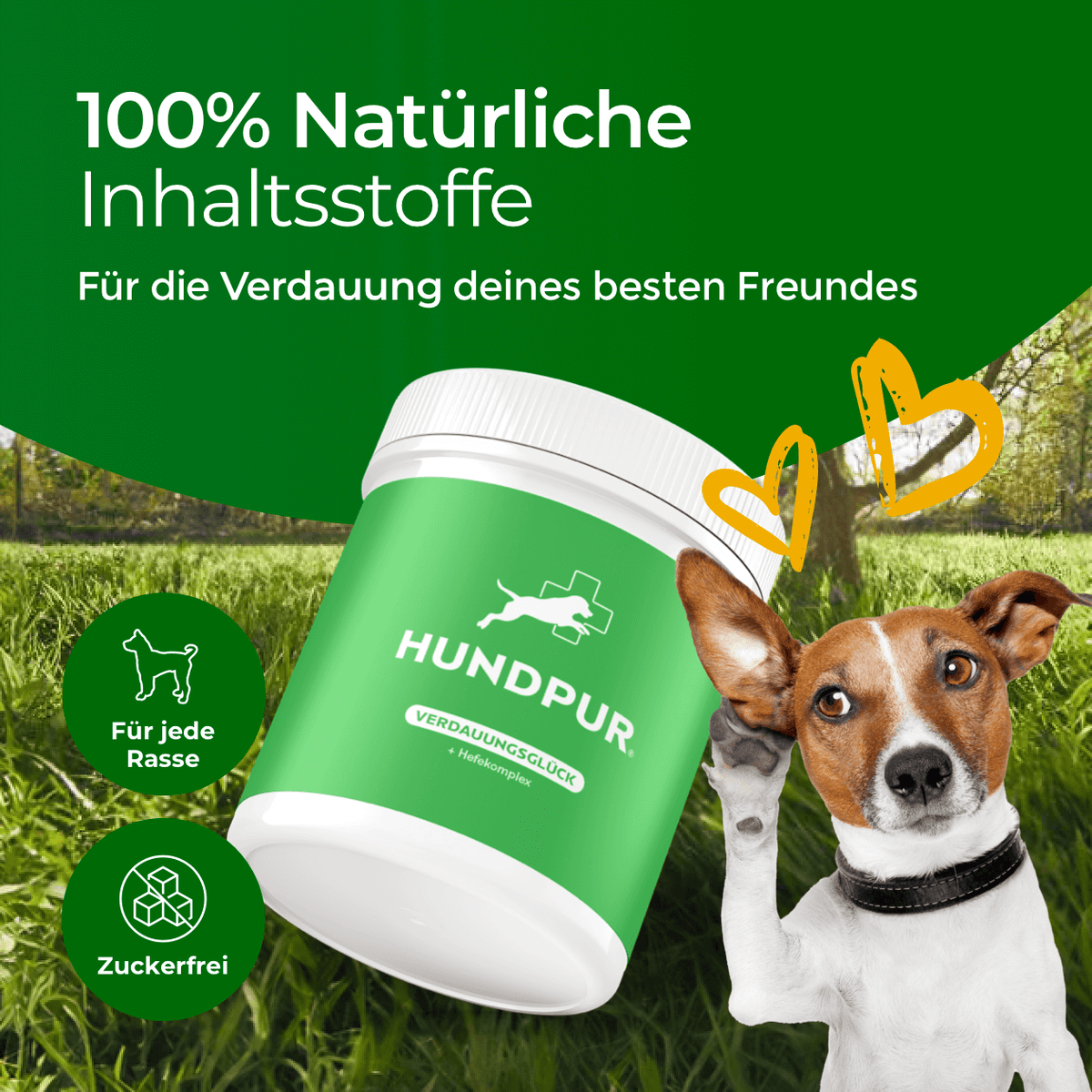 Hundpur® Verdauungsglück – Probiotics for Dogs, Digestion & Gut Flora