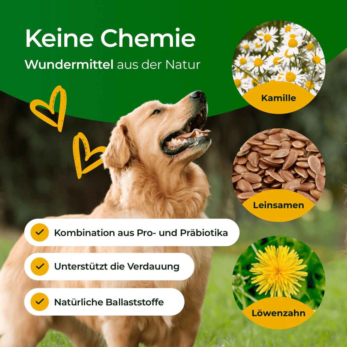 Hundpur® Verdauungsglück – Probiotics for Dogs, Digestion & Gut Flora