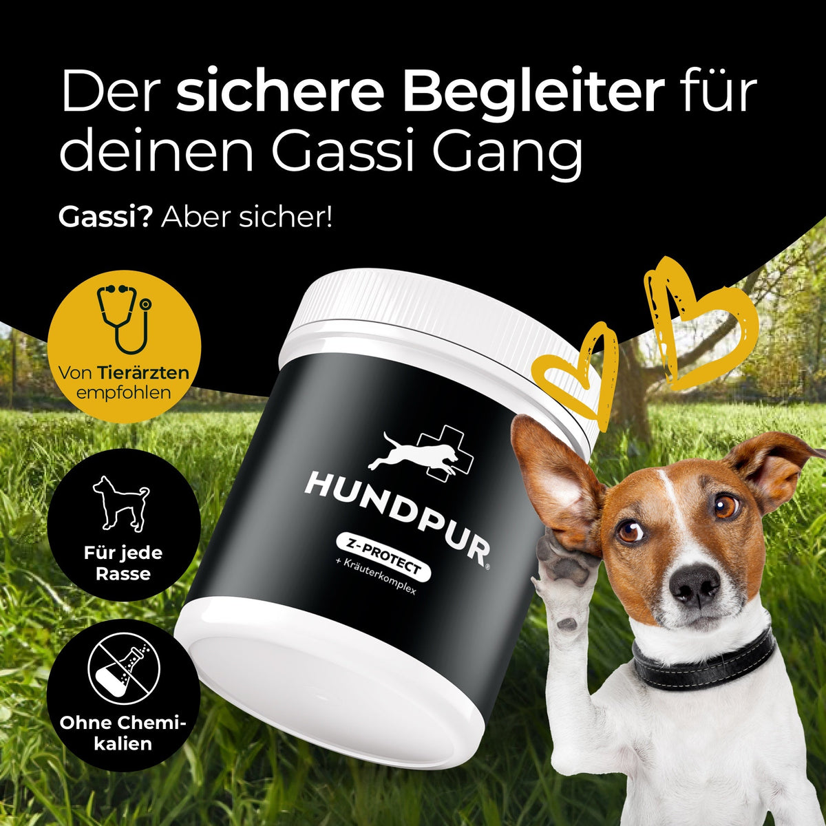 Hundpur® Z-Protect – Supplement with Herbs & Black Seed Oil for Dogs