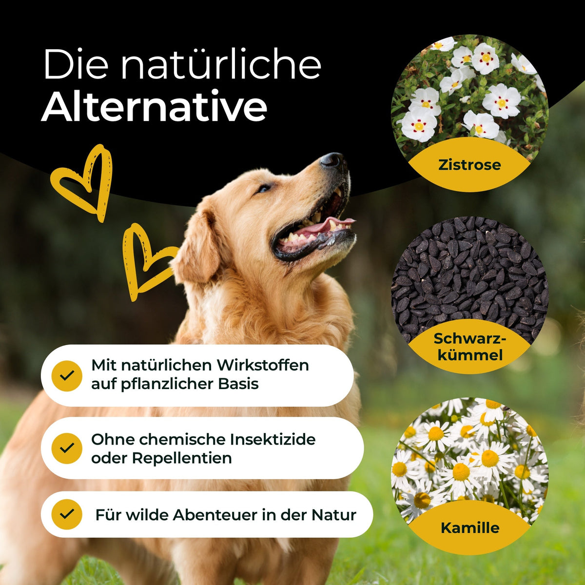 Hundpur® Z-Protect – Supplement with Herbs & Black Seed Oil for Dogs