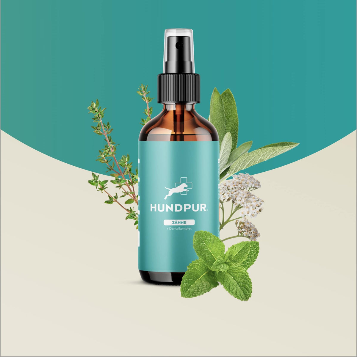Hundpur® Dental Spray for Dogs – Dog Breath Freshener & Dental Care