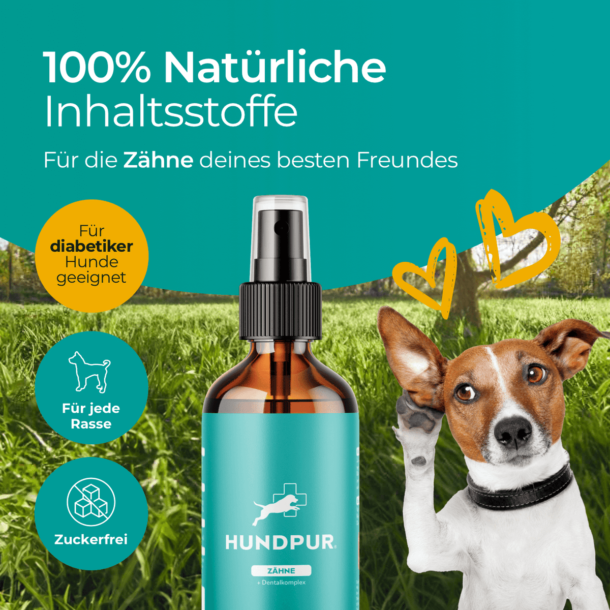 Hundpur® Dental Spray for Dogs – Dog Breath Freshener & Dental Care