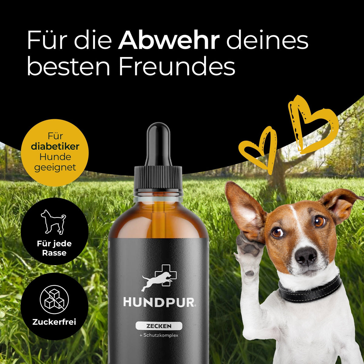 Hundpur® Tick Protection for Dogs – Tick Tincture, External Use, 50 ml