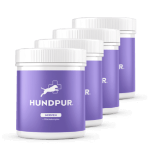 Hundpur® Nerven – Calming for Dogs under Stress, Magnesium & Herbs