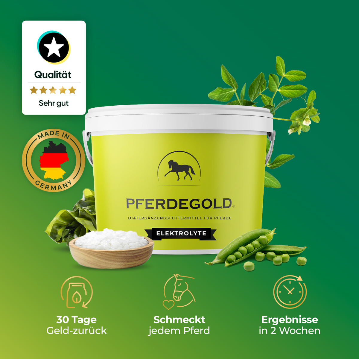 Pferdegold® Horse Electrolytes – Electrolytes for Horses, 1.5 kg