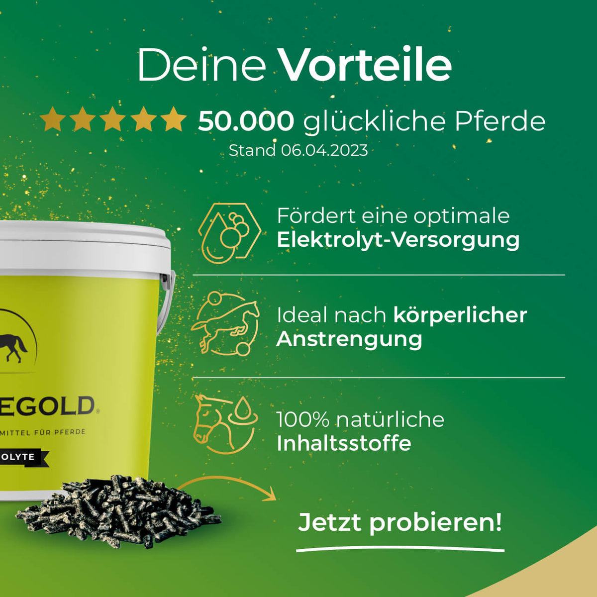 Pferdegold® Horse Electrolytes – Electrolytes for Horses, 1.5 kg