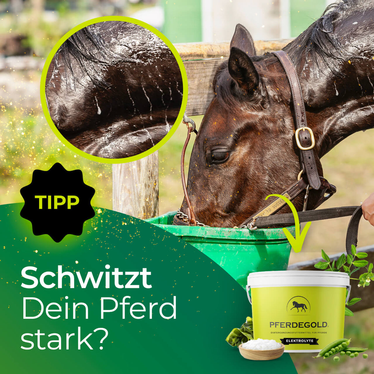 Pferdegold® Horse Electrolytes – Electrolytes for Horses, 1.5 kg