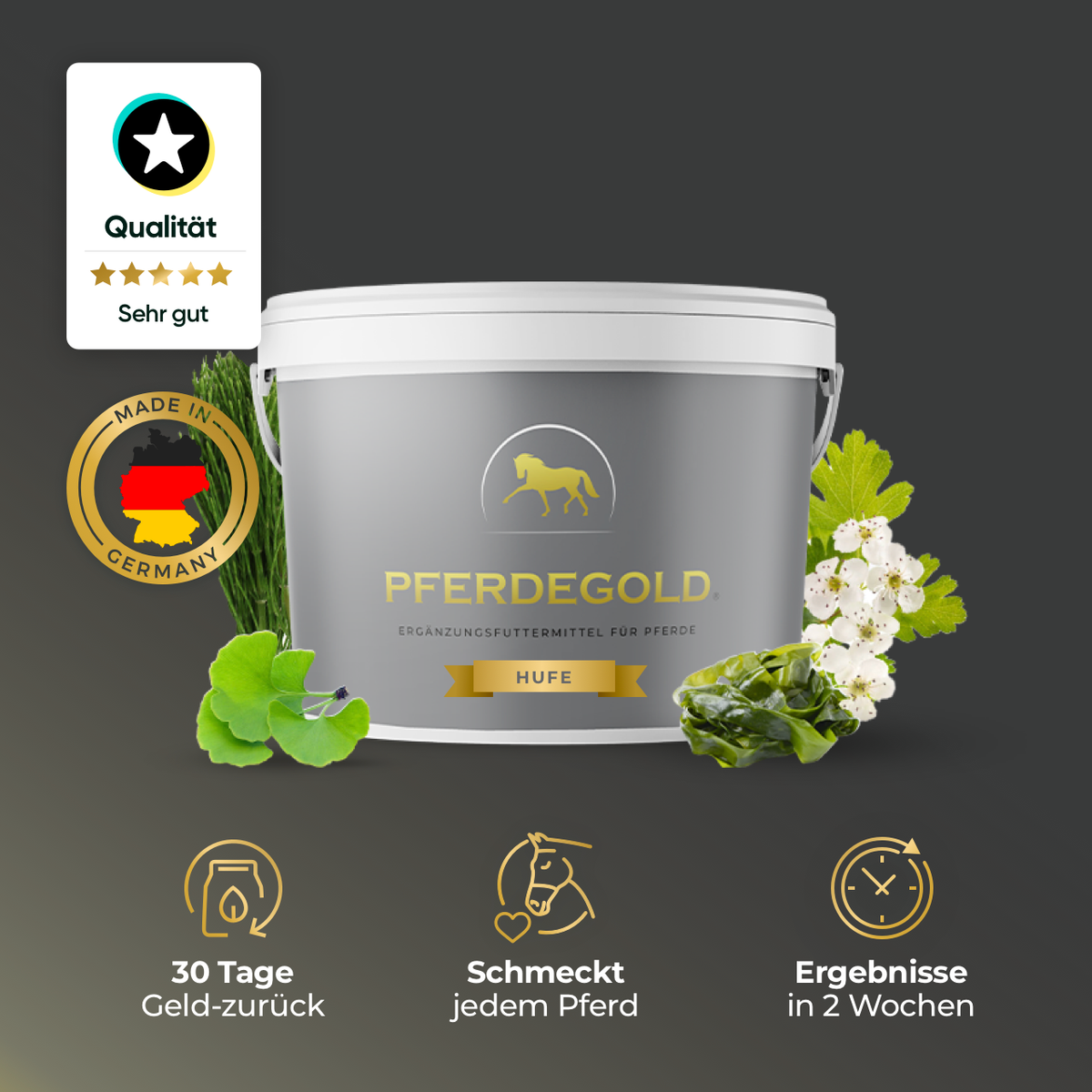 Pferdegold® Hoof – Biotin for Horses, Horse Hoof Supplement with Zinc