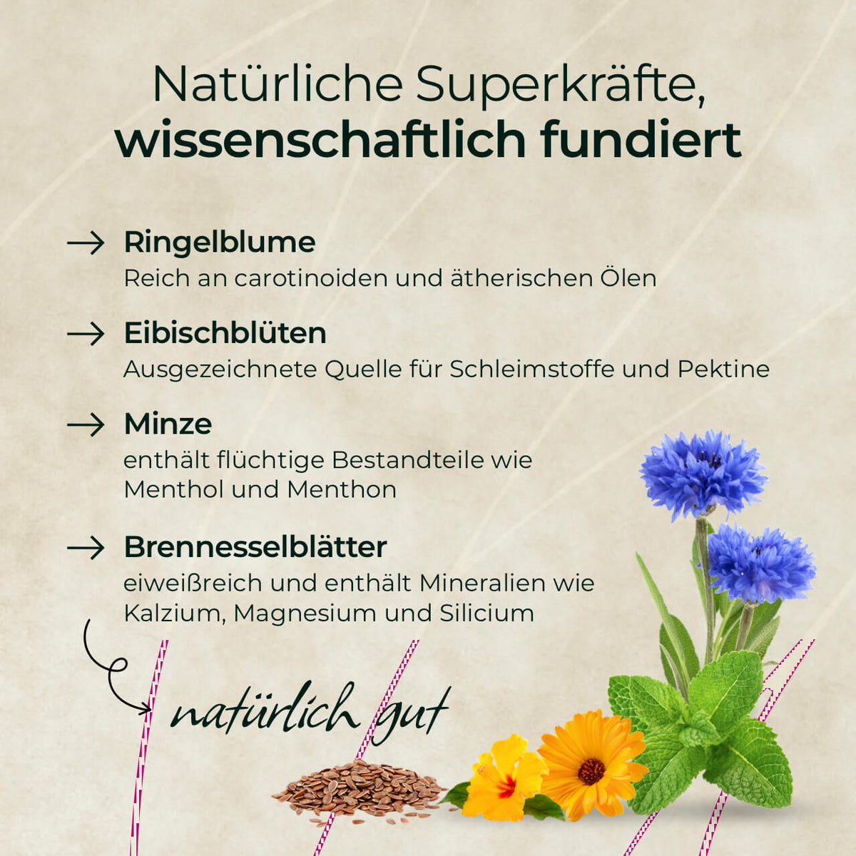 Pferdegold® Goldmüsli® Kräuter Glück – Horse Herbs Muesli, Grain-Free