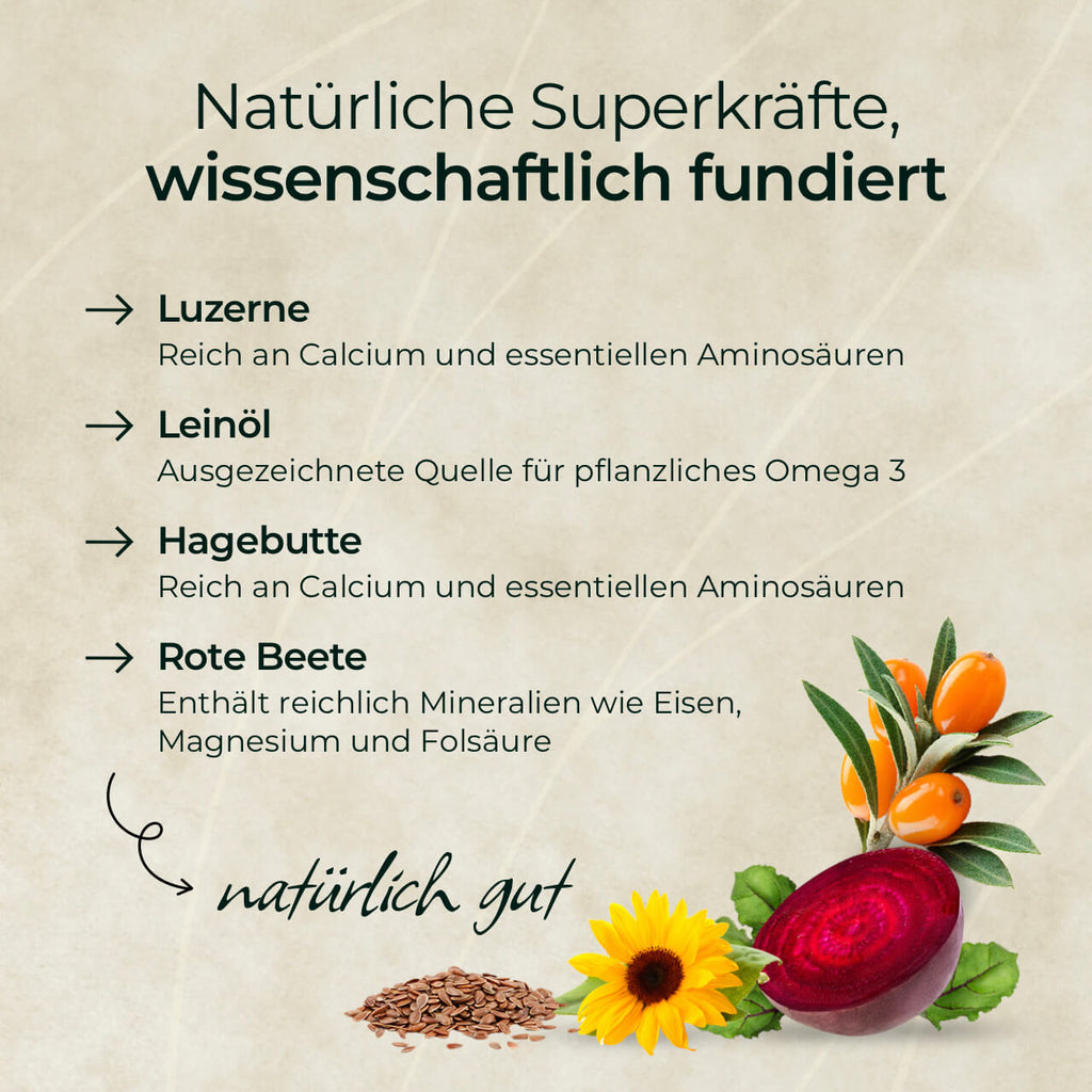 Pferdegold® Goldmüsli® Natur Pur – Pferdemüsli getreidefrei & faserreich