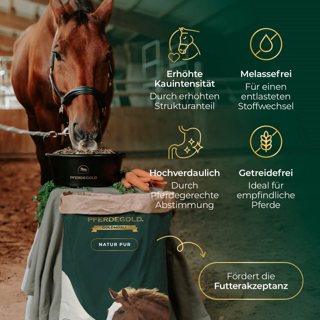 Pferdegold® Goldmüsli® Natur Pur – Pferdemüsli getreidefrei & faserreich