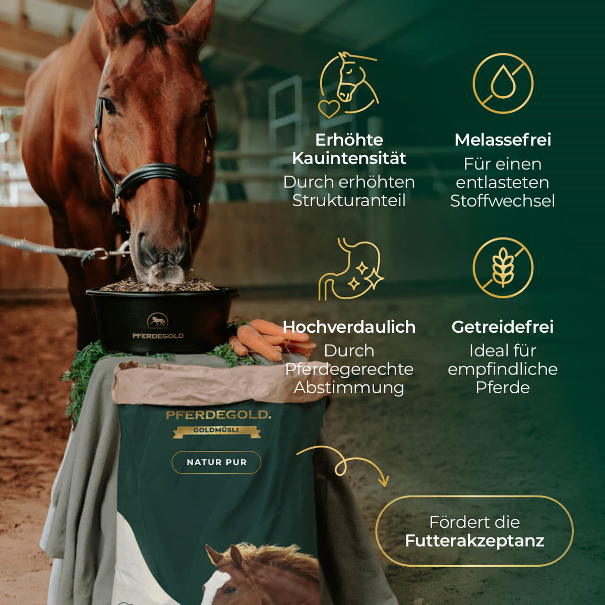 Pferdegold® Goldmüsli® Natur Pur – Pferdemüsli getreidefrei & faserreich