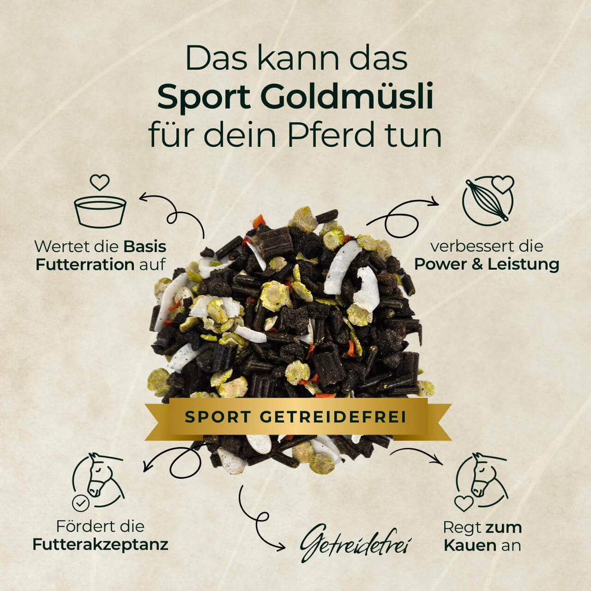 Pferdegold® Goldmüsli® Sport – Grain-Free Horse Feed, High Protein