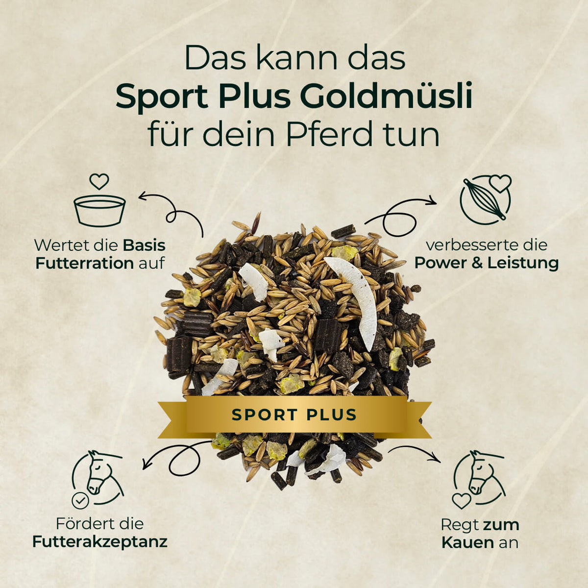 Pferdegold® Goldmüsli® Sport Plus – Oat-Based Competition Horse Feed
