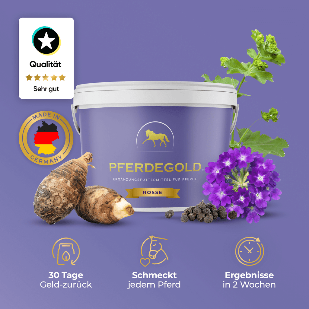 Pferdegold® Rosse – In-Season Mare Supplement with Herbs & Magnesium