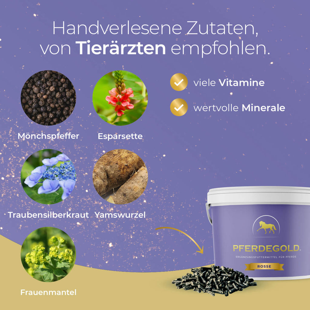 Pferdegold® Rosse – In-Season Mare Supplement with Herbs & Magnesium