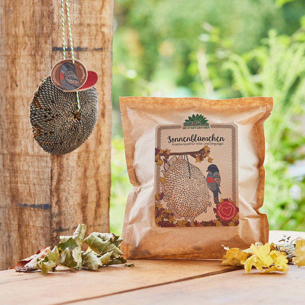 Die Stadtgärtner Dried Sunflower Head – Sunflower Seeds for Birds