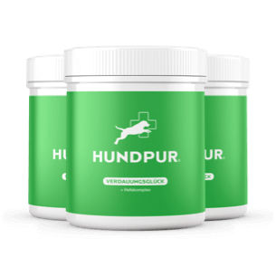 Hundpur® Verdauungsglück – Probiotics for Dogs, Digestion & Gut Flora