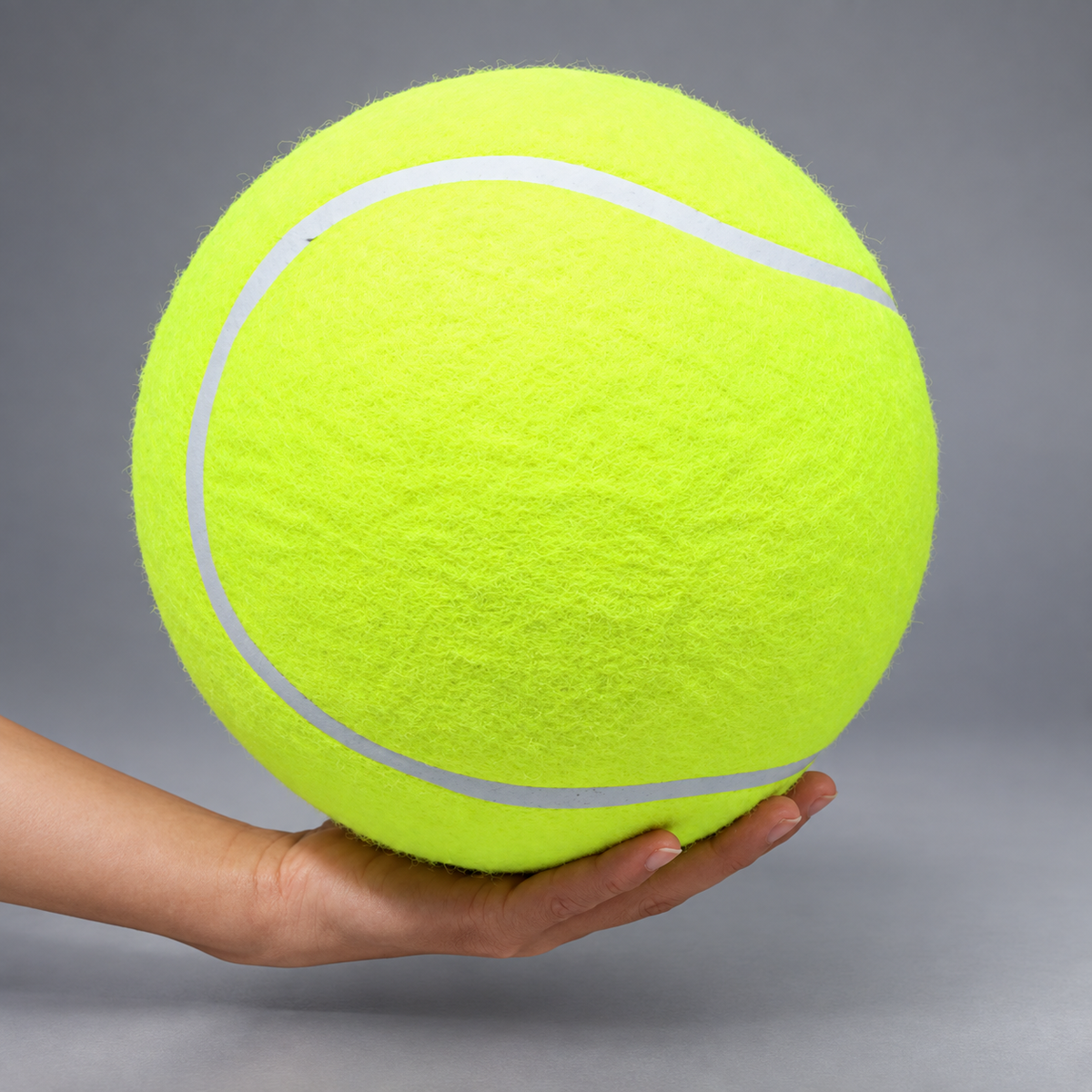 Giant Tennis Ball for Dogs – Inflatable XXL Tennis Ball, 24 cm