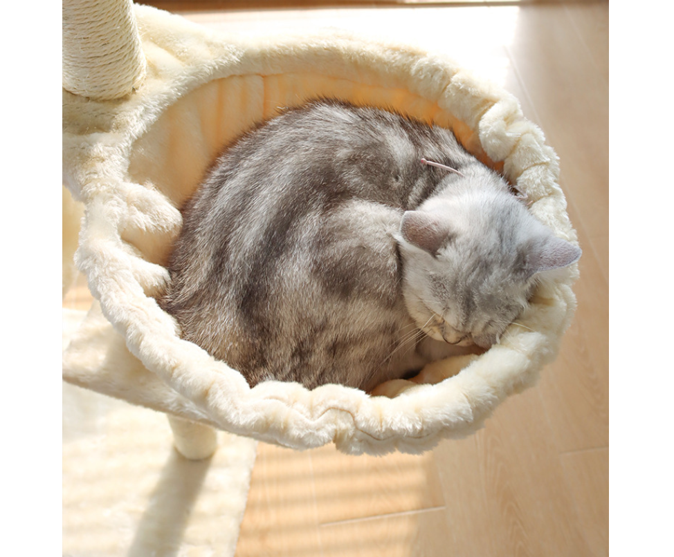 Medium Cat Tree, 138 cm – 5-Level Cat Tower with Sisal Posts