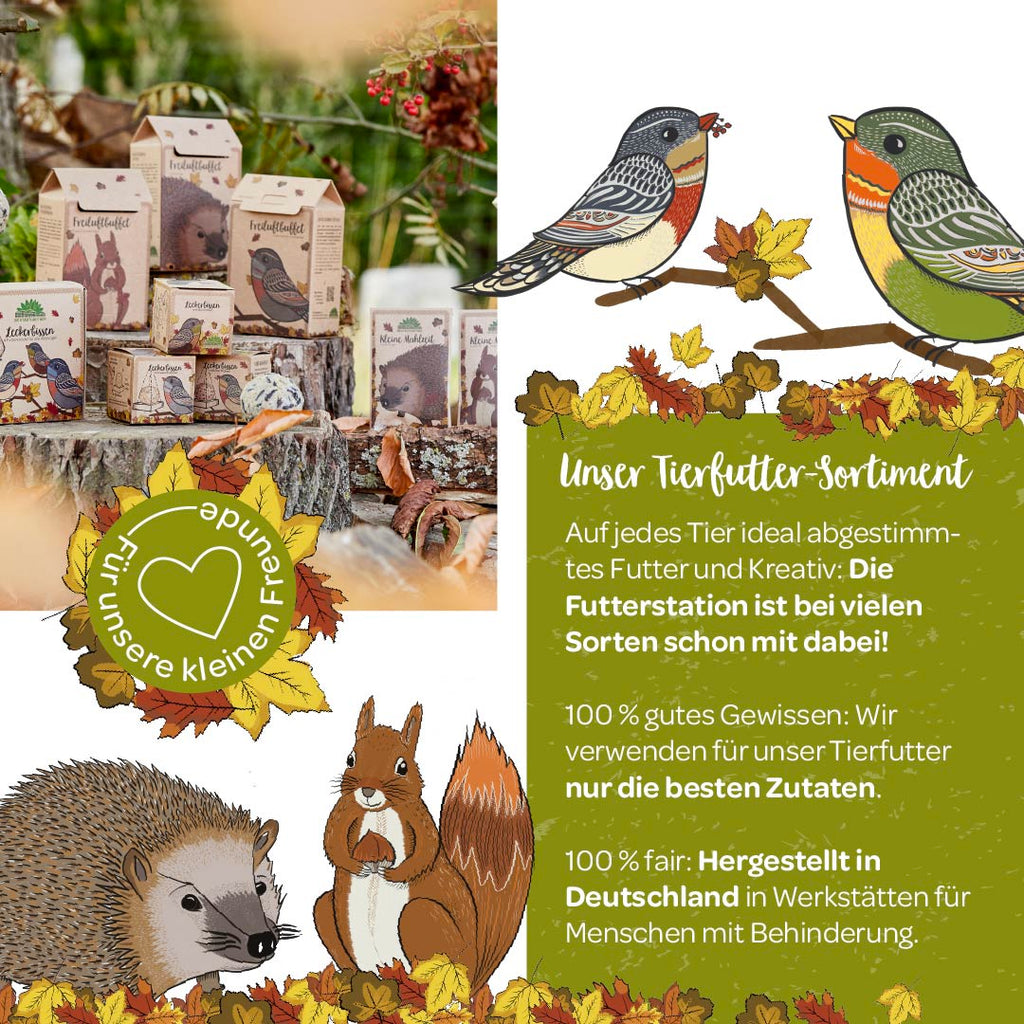 Die Stadtgärtner Dried Sunflower Head – Sunflower Seeds for Birds