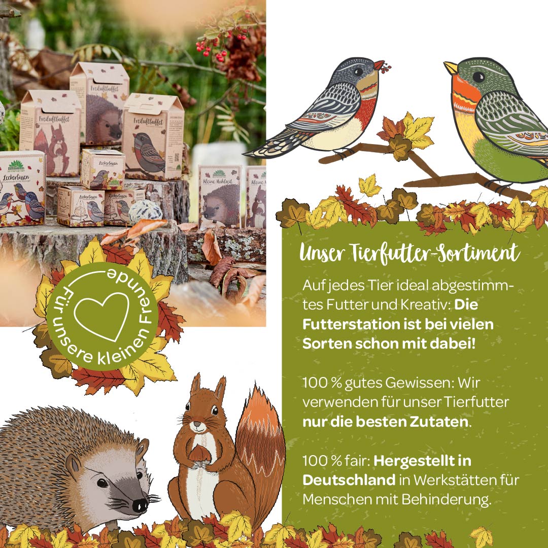 Die Stadtgärtner Dried Sunflower Head – Sunflower Seeds for Birds