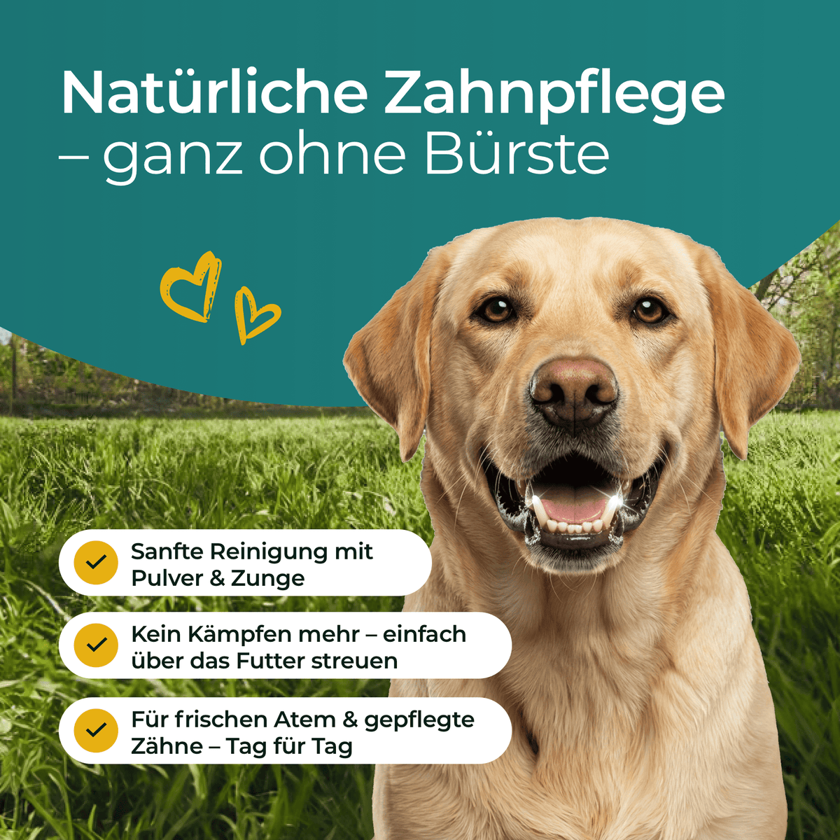 Hundpur® Teeth & Breath – Dog Dental Powder with Seaweed, for Plaque