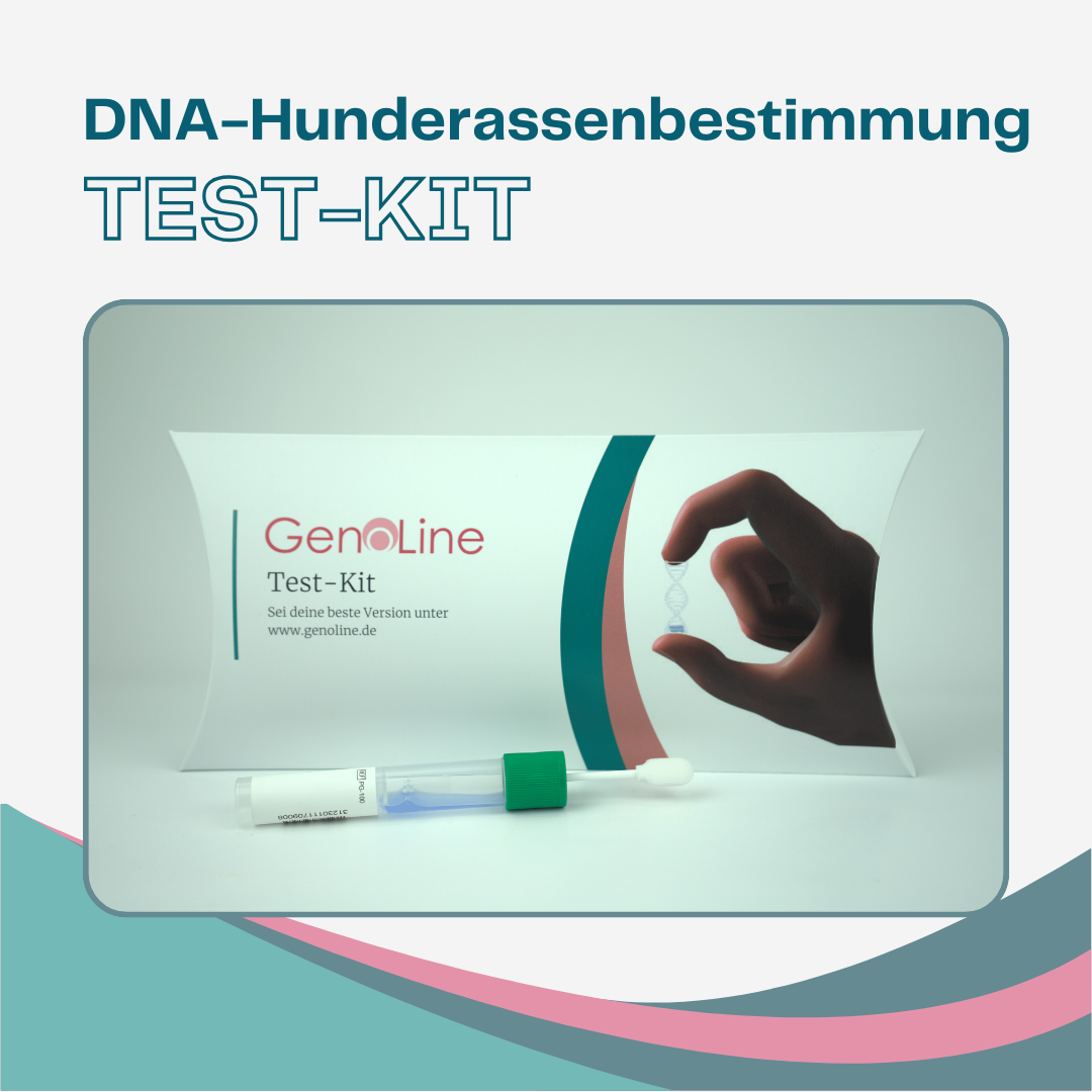 GenoLine Dog DNA Test – Dog Breed Test for 400+ Breeds, At-Home Sample